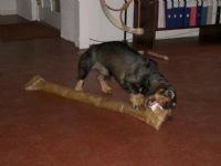 Bosse